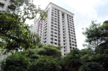 Blk 167 Petir Road (Bukit Panjang), HDB 4 Rooms #220532